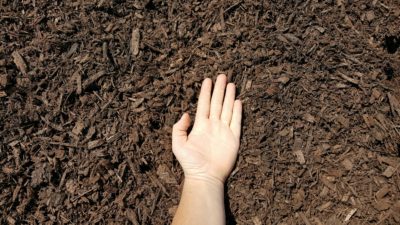 Dark Brown Colored Mulch - 83 Landscape Supply