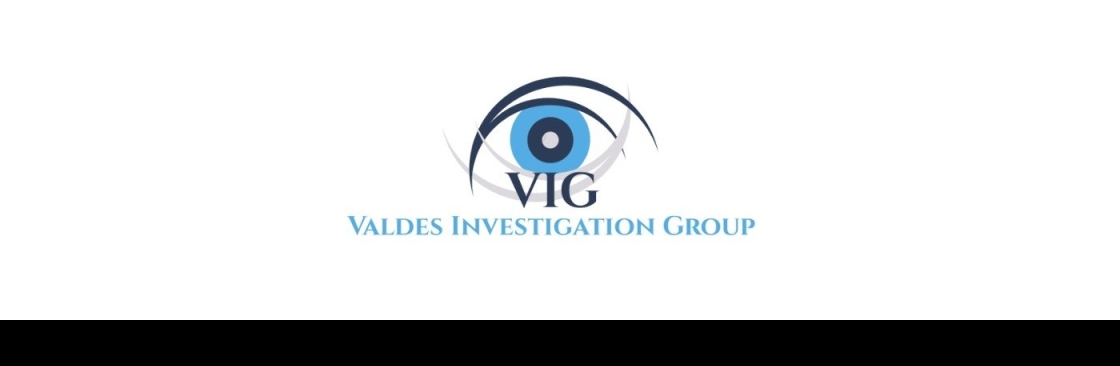 Valdes Investigation Group Cover Image