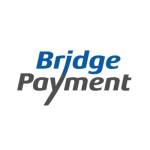 Bridge Payment profile picture