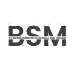 bsm internationalmanufacturing Profile Picture